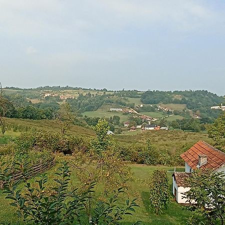 Ferienwohnung Ranc Sretenovic Mionica Exterior foto