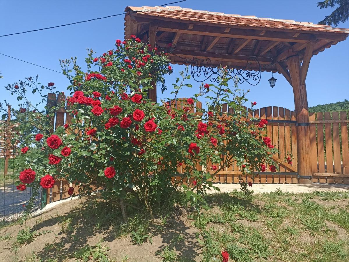 Ferienwohnung Ranc Sretenovic Mionica Exterior foto