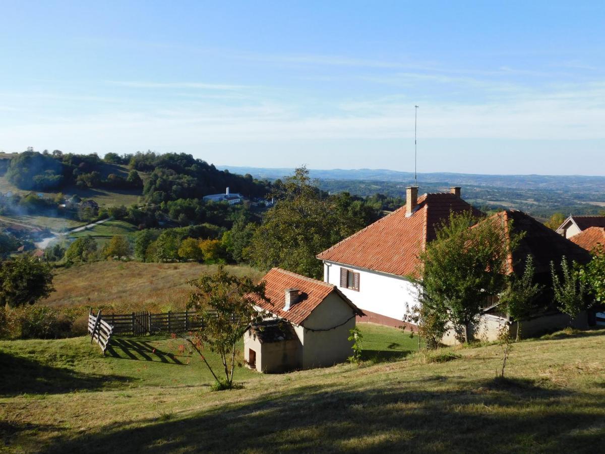 Ferienwohnung Ranc Sretenovic Mionica Exterior foto