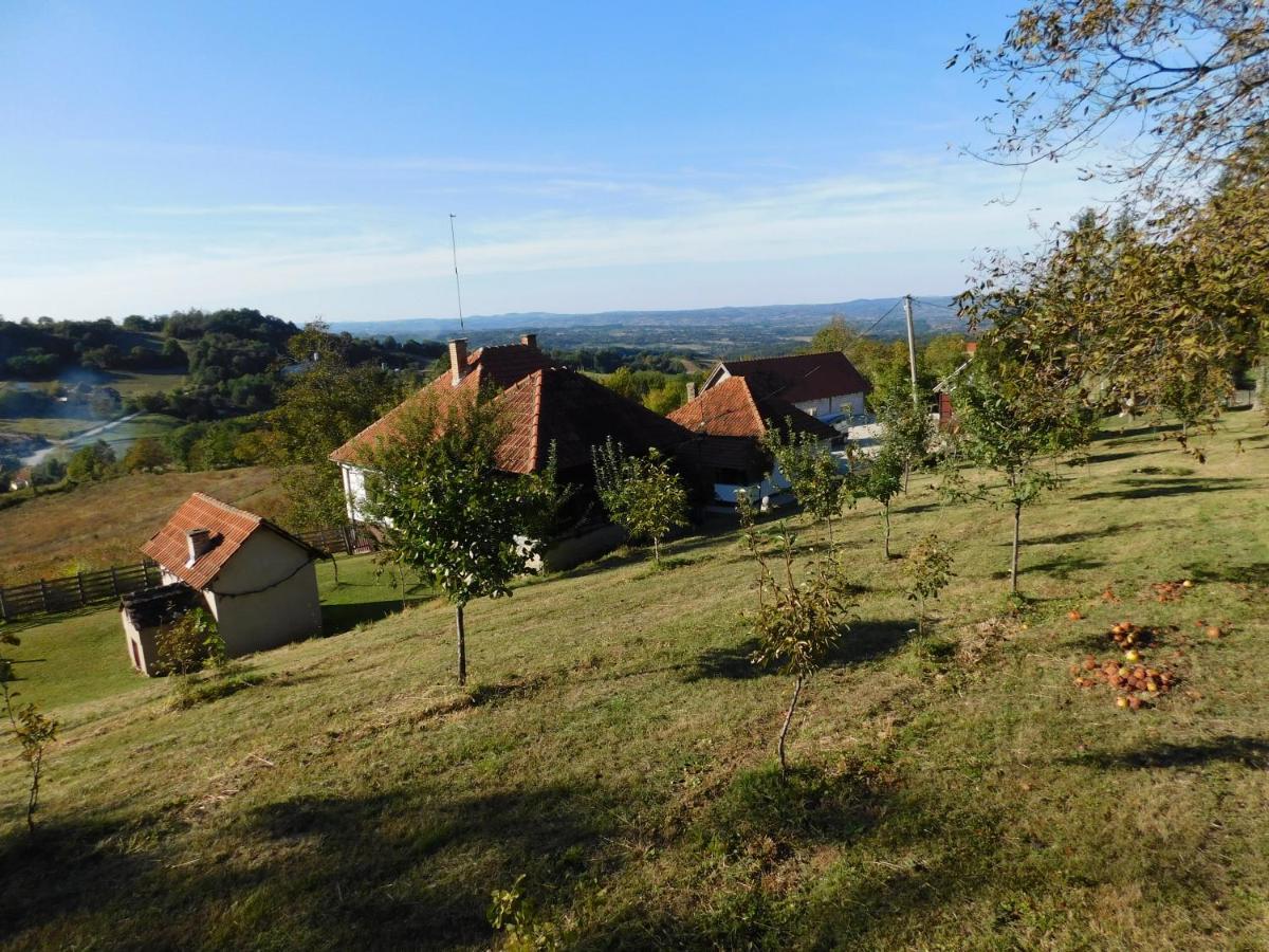 Ferienwohnung Ranc Sretenovic Mionica Exterior foto