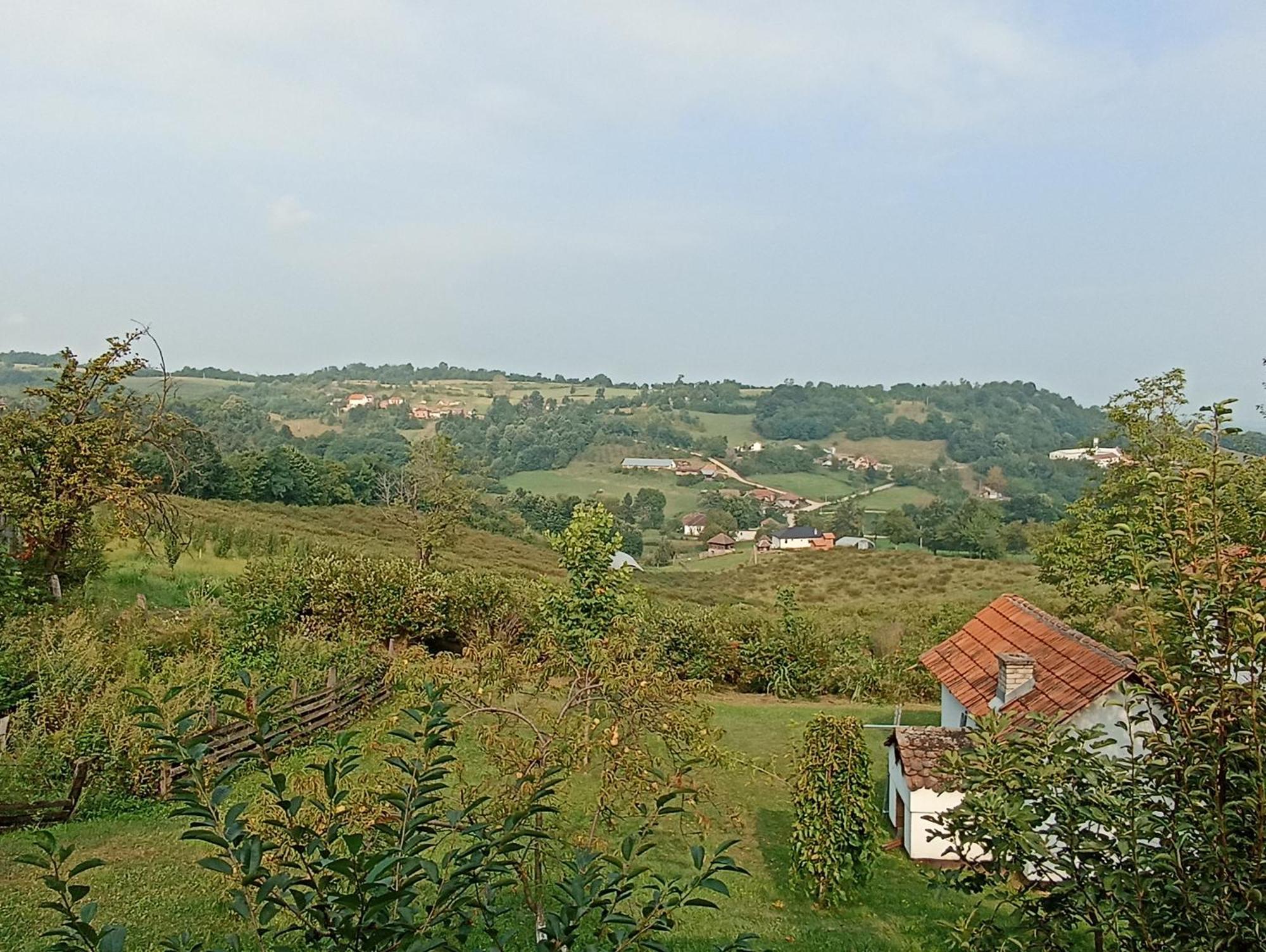 Ferienwohnung Ranc Sretenovic Mionica Exterior foto