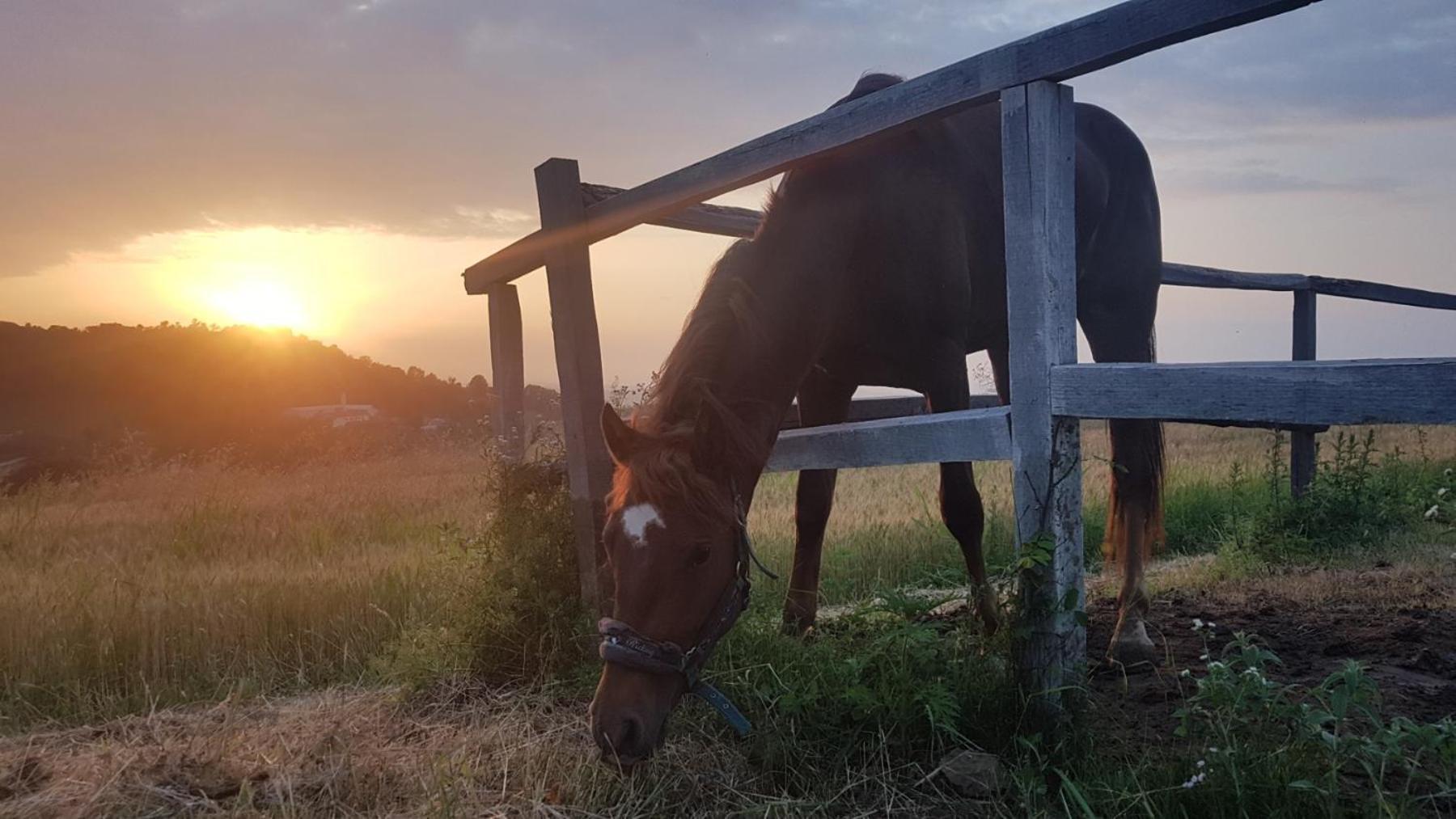 Ferienwohnung Ranc Sretenovic Mionica Exterior foto